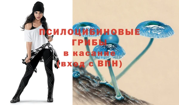эйфоретик Нязепетровск