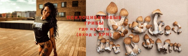 эйфоретик Нязепетровск