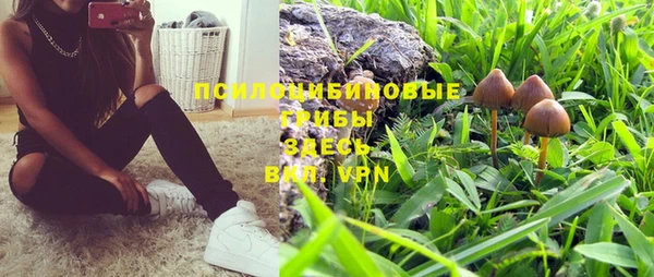 эйфоретик Нязепетровск
