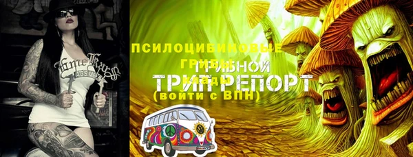 эйфоретик Нязепетровск
